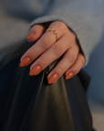 Burnt Sienna - No. 256