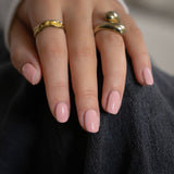 Blushing Rose - No. 238