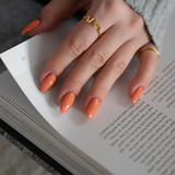 Burnt Sienna - No. 256