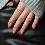 Burnt Sienna - No. 256