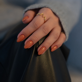 Burnt Sienna - No. 256