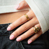 Blushing Rose - No. 238