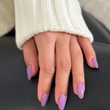 Lavender Field - No. 146