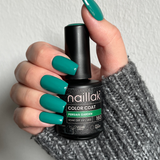 Persian Garden - No. 160